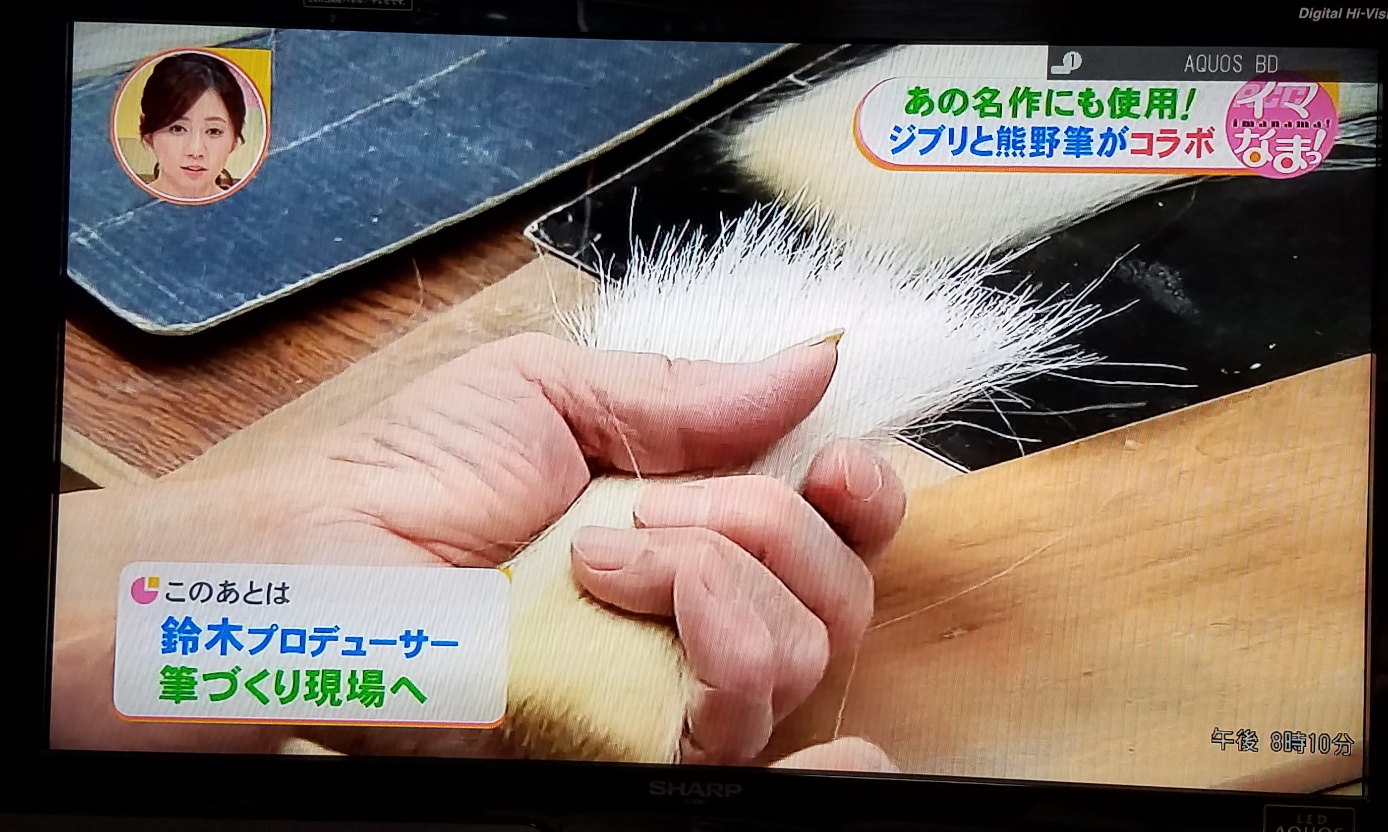 熊野筆をつくる伝統工芸士の熟練の技と手仕事で銘筆が生まれます。