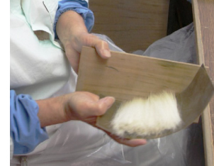 赤ちゃん筆の先寄せ、毛そろえ