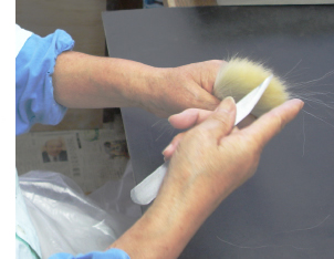 赤ちゃん筆の逆毛、すれ毛取り